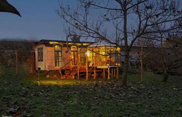 Tiny Haus - Sternenblick - Sauna - Foto 4