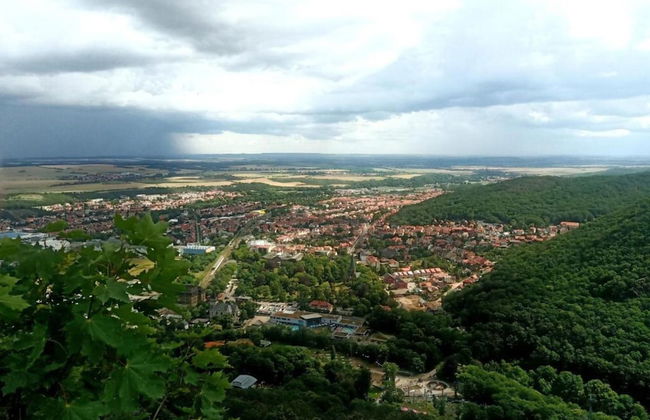 Apartment in Falkenstein With Wood-burning Stove - Foto 27