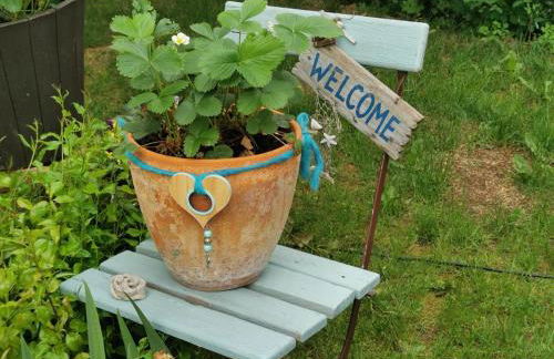 Harzer Auszeit - Foto 19