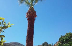 Cedra 5, Holiday home, cosy apartment - Photo 5