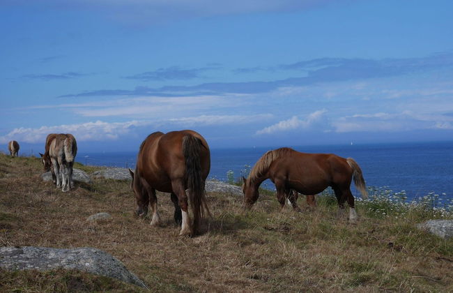 House in Treompan Near Sandy Beach - Photo 28