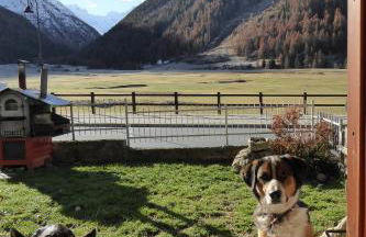 La Maison De Chouflette - Foto 18