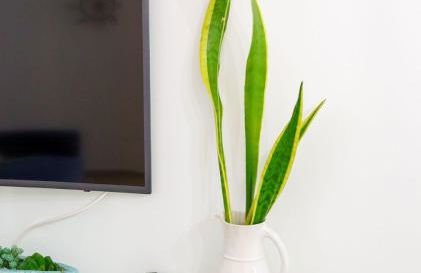 Beachfront apartment T2 Costa Nova Surf Aveiro - Foto 43