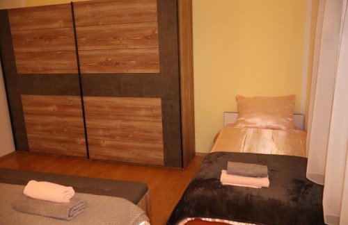 Dalmatian - Photo 53