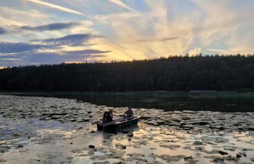 Leśna Kryjówka domki w lesie - Foto 43