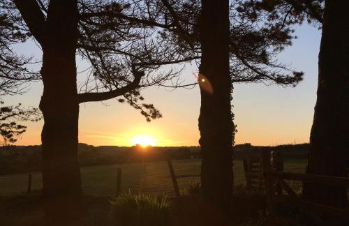 Mount Hawke Holiday Bungalows - Foto 11