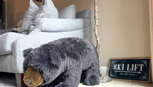 Mountain Inn Lodge 86 with Wintergreen Advantage - Foto 4