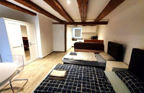 Nice studio in Pankow - Foto 1