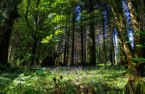 The Garden House, Necarne, Irvinestown - Foto 17