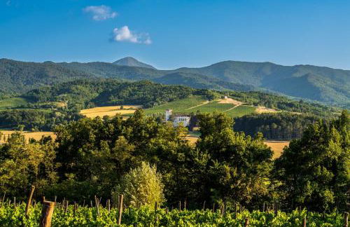 Tenuta Cascina Marenco - Foto 18