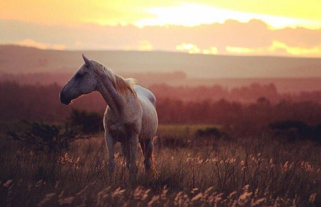 Kwetu Guest Farm - Photo 48