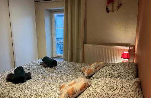 Cocon de la belle de Vosges 3 chambres - Foto 31