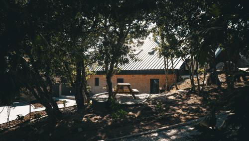 Alagoa Local - Foto 3