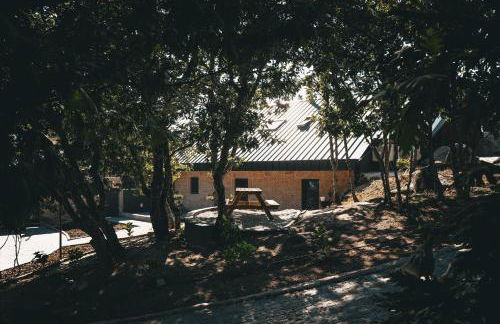 Alagoa Local - Foto 3