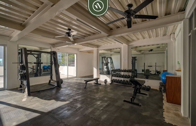 The Ava 605 in Jalisco - Foto 53