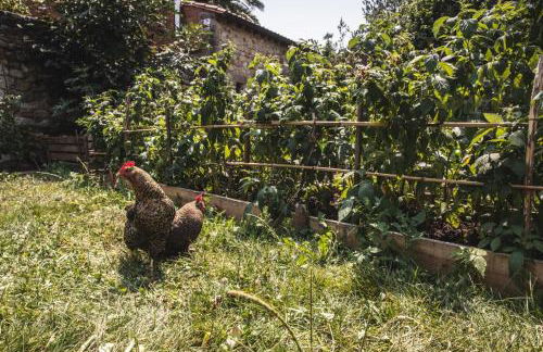 La Casa de Consuelo 3 - Foto 36