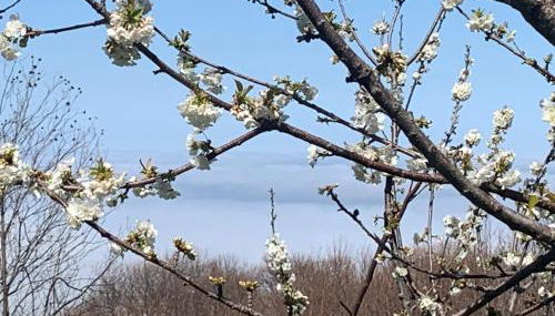 Pelion 7 Lives - Foto 2