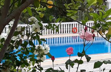 Kefallonia Bay Resort - Foto 26