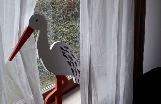 Ground Floor Palatine - Photo 17