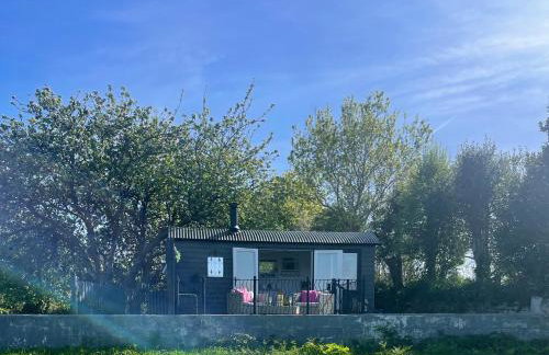 Hillview Haven - Photo 2