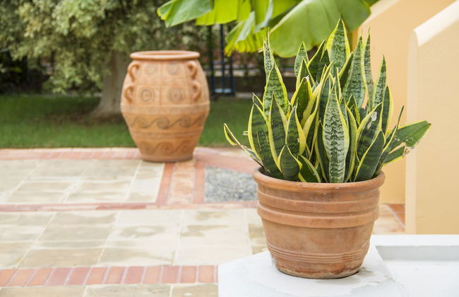 Lycasti Maisonettes - Foto 43