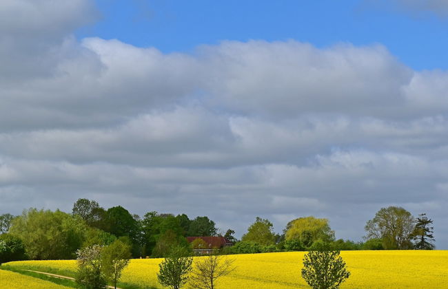 Ferienwohnung im Gutshaus Schulenbrook - Foto 25