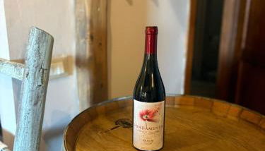 Appartamento nel Borgo Cuore dell'Umbria, vicino ad Assisi - Foto 3