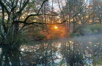 Wassermühle Stemmen - Foto 20