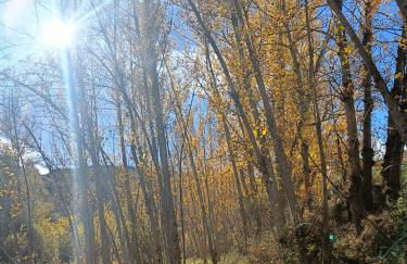 La Cabaña del Risco - Foto 17