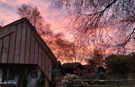 Seaways glamping, Cedar - Foto 10