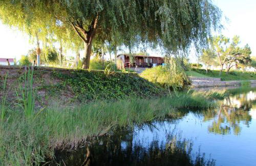 Herdade do Sardanito da Frente - Foto 42