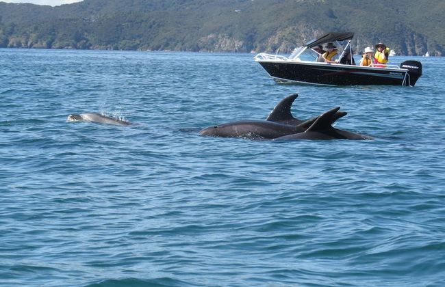 Beachfront Getaway - Foto 15