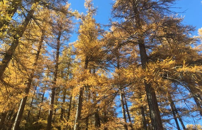 Apartments Carmena - Foto 5