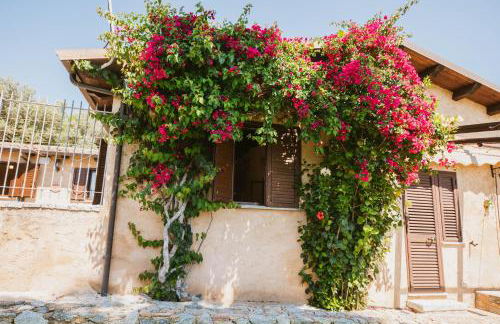 Calàmi - Villa Romeo - Private Apartments with Pool, Seaview & Olive Grove - Foto 36