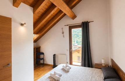 Apartaments Sort Pirineus - Foto 58