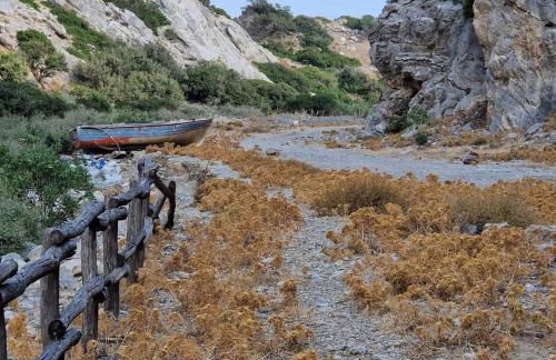 Edelweiss Rent Rooms-Rent a Car - Foto 57