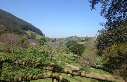 Domocantabria - Foto 40