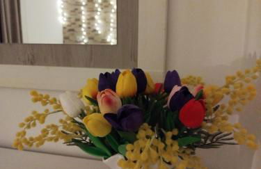 La Casa de la Mimosa - Foto 47