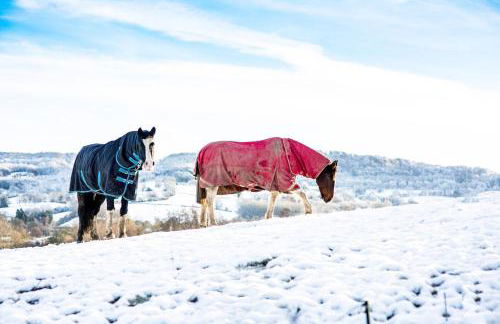 The Organic Cotswolds Cowshed - Photo 62