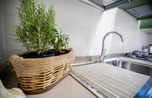 L' Antica Oliviera D'Orcia - Foto 34