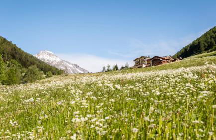 Unterlutaschg-Chalet Appartement am Hof - Foto 8