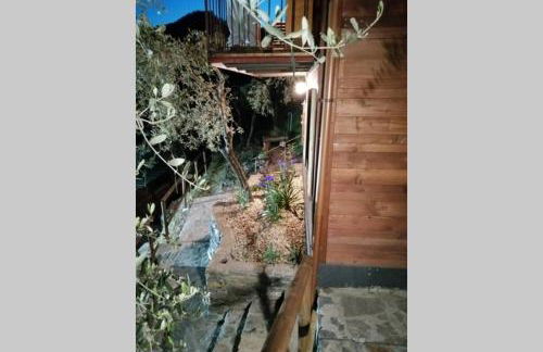 La Casetta di Molly tra ulivi e roseto - Foto 9