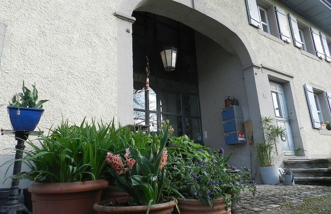 Blue Wall BnB - business apartments - Foto 70