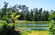 Leśne Domki Wejsuny - Foto 17