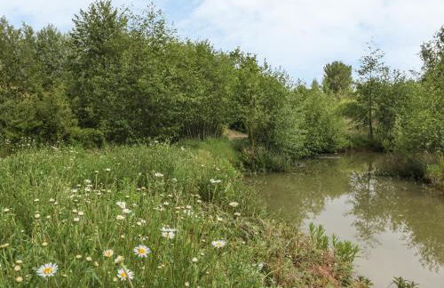 Island Yurt - Foto 16