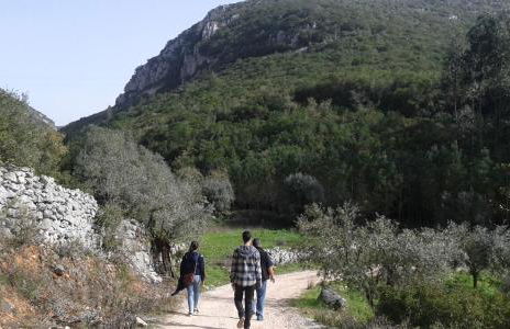 Quinta de São João - Foto 29