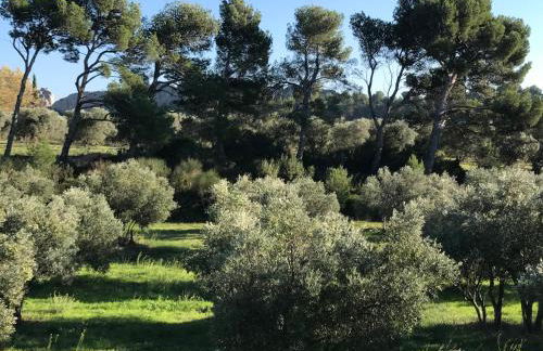 La Bastide des Cyprès - Foto 74