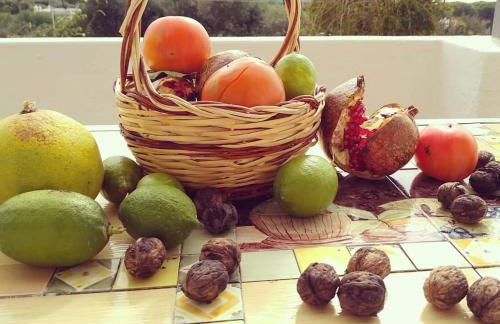 Residence Limoneto Ischia - Foto 54