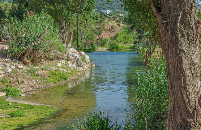 Tour en paddle surf por el río Guadiaro - Foto 1