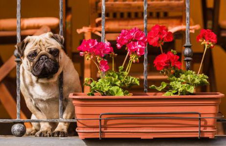 Apartamentos Rurales L´Abiseu - Photo 21